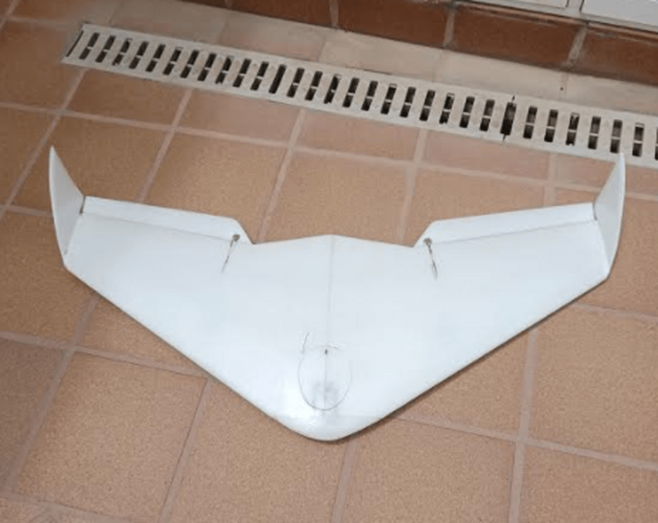 Imagen del ala volante (Foto TA)